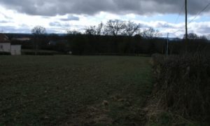 Terrains à Igornay