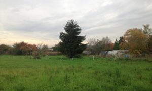 MAISON + TERRAIN ALLEREY SUR SAÔNE