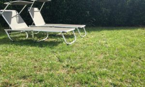 TERRAIN DIJON – 21000