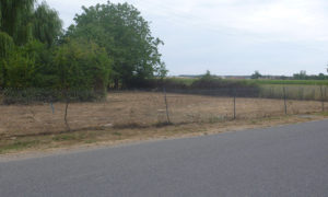 TERRAIN SAINT LEGER