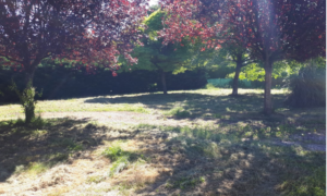 TERRAIN CHAMPDOTRE – 21130