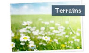 TERRAIN ALLERIOT – 71380