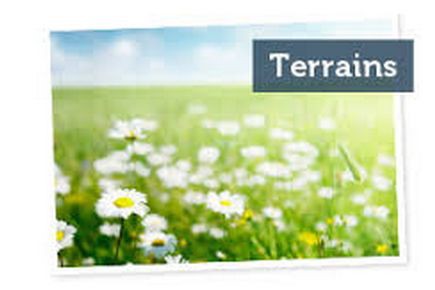 TERRAIN ALLERIOT – 71380