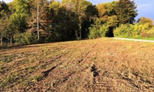 TERRAIN BYANS SUR DOUBS – 25320