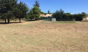 TERRAIN ROUTELLE – 25410