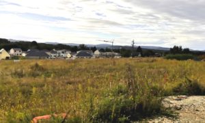 TERRAIN SERRE-LES-SAPINS – 25770