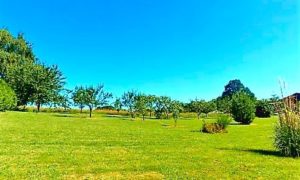 TERRAIN DAMPIERRE – 39700